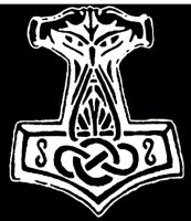 Viking World Tour - Tshirt