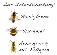 Arschloch mit Flügel - Tshirt Wespe Imker Bienen Spass Lustig Funshirt