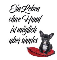 Ein Leben ohne Hund ist möglich aber sinnlos - Tshirt Tierliebe Gassi Frauli