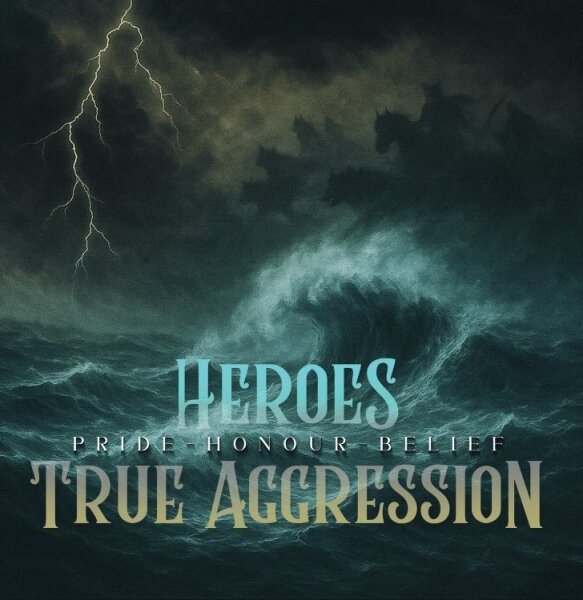 Heroes & True Aggression - Pride, Honour, Belief
